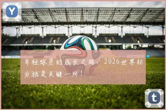 年轻球员的成长之路,2026世界杯分档是关键一环!