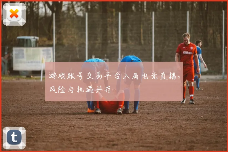 游戏账号交易平台入局电竞直播,风险与机遇并存